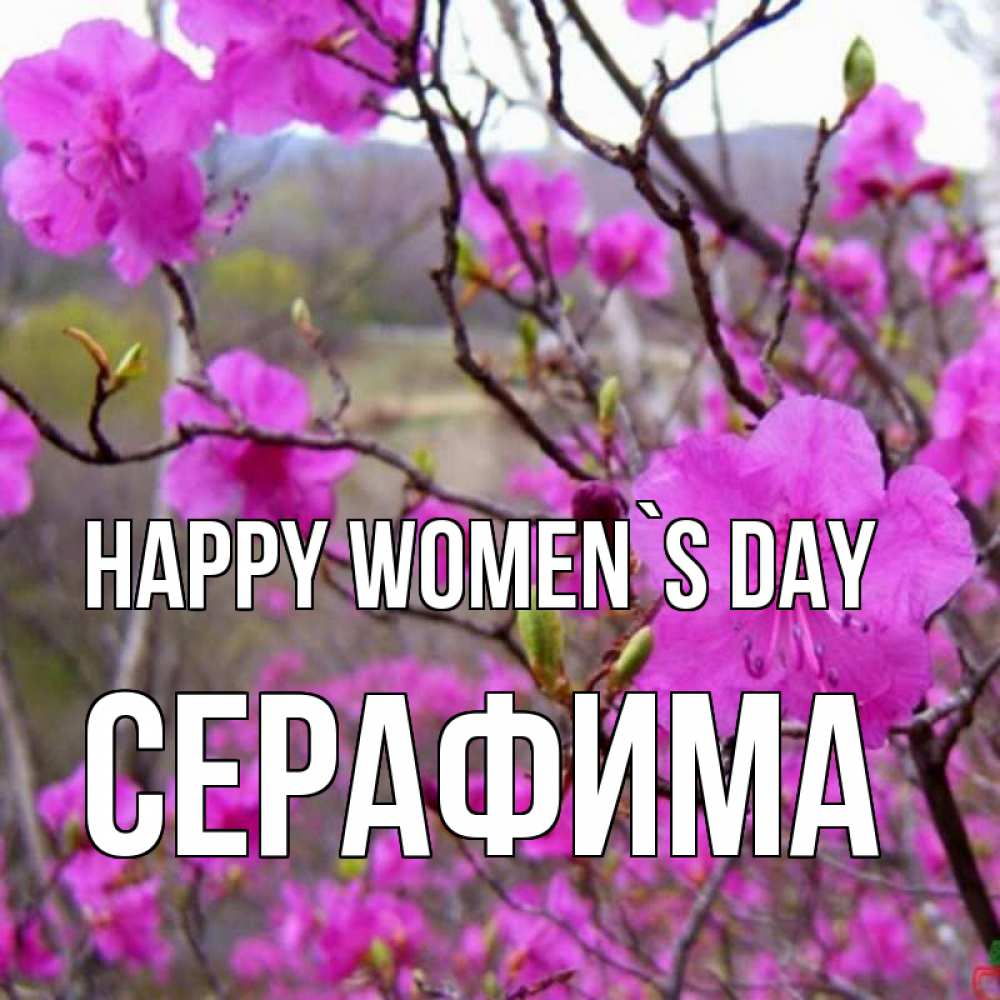 Greetings card с именем, Серафима happy women`s day международный женский день Greetings with text for free download 
